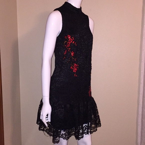 NWT, Nicole Miller, lace dress size 6 - Picture 5 of 8